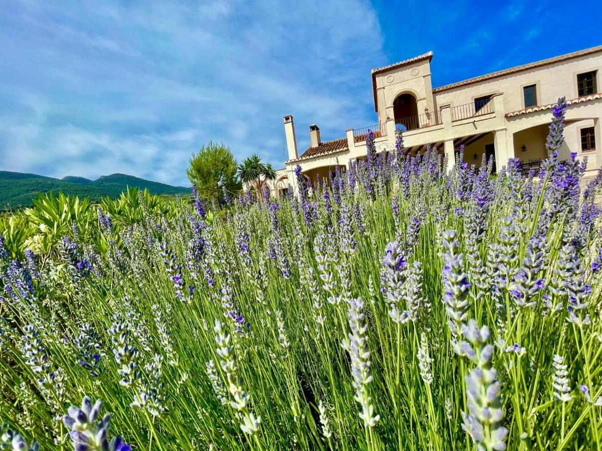 La Esperanza Granada Luxury Hacienda & Private Villa Saleres Extérieur photo